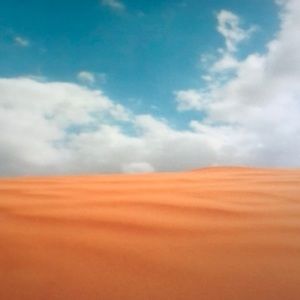 Meet your Posher, Bentley